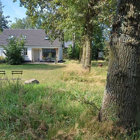 B&B Het Mooie Uitzicht Reuver 外观 照片
