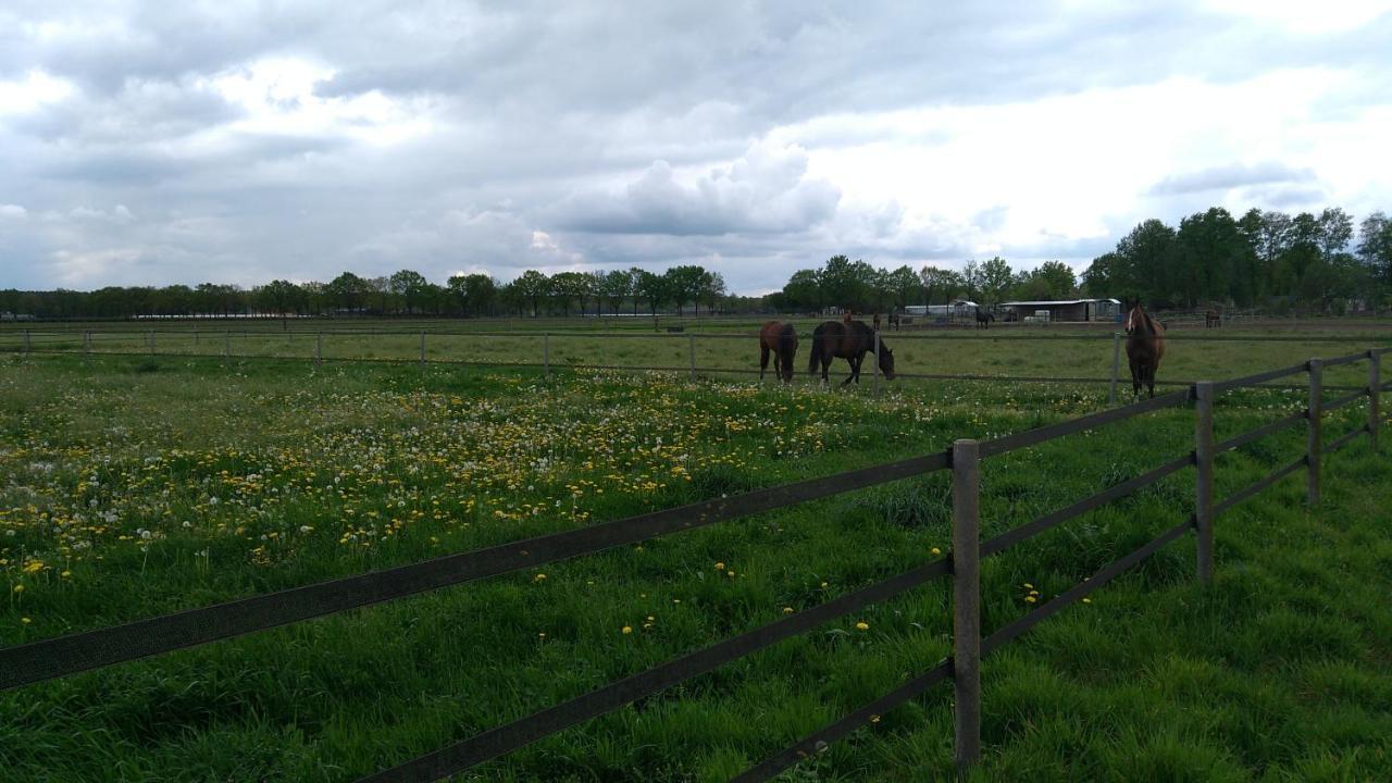 B&B Het Mooie Uitzicht Reuver 外观 照片