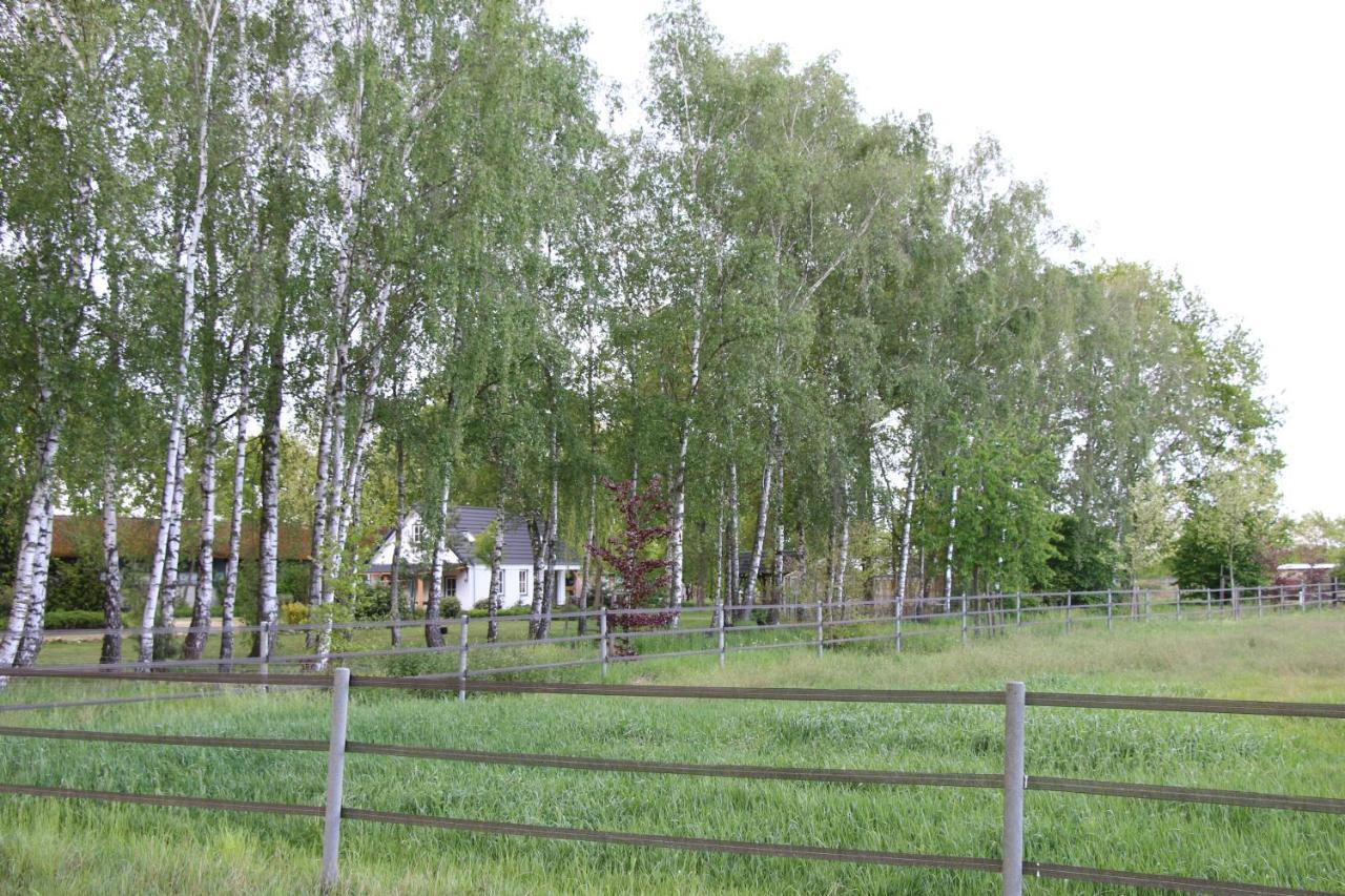 B&B Het Mooie Uitzicht Reuver 外观 照片