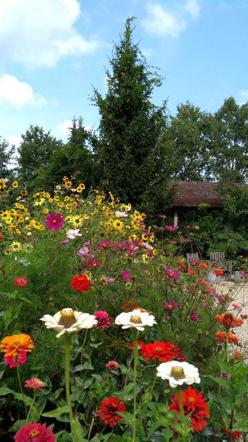 B&B Het Mooie Uitzicht Reuver 外观 照片