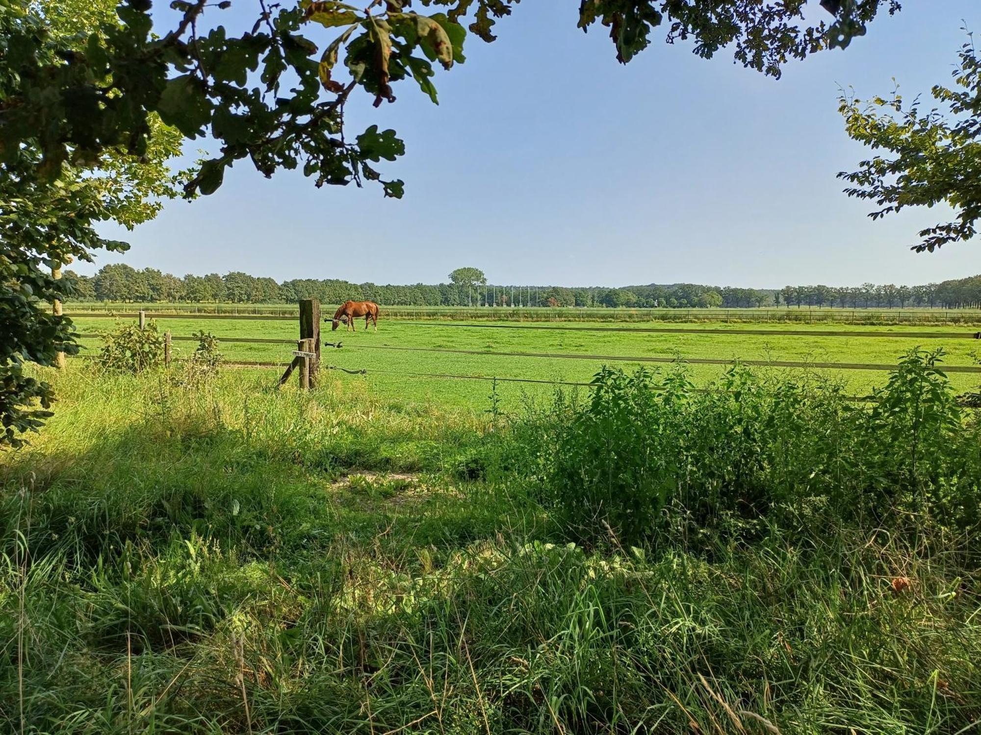 B&B Het Mooie Uitzicht Reuver 外观 照片