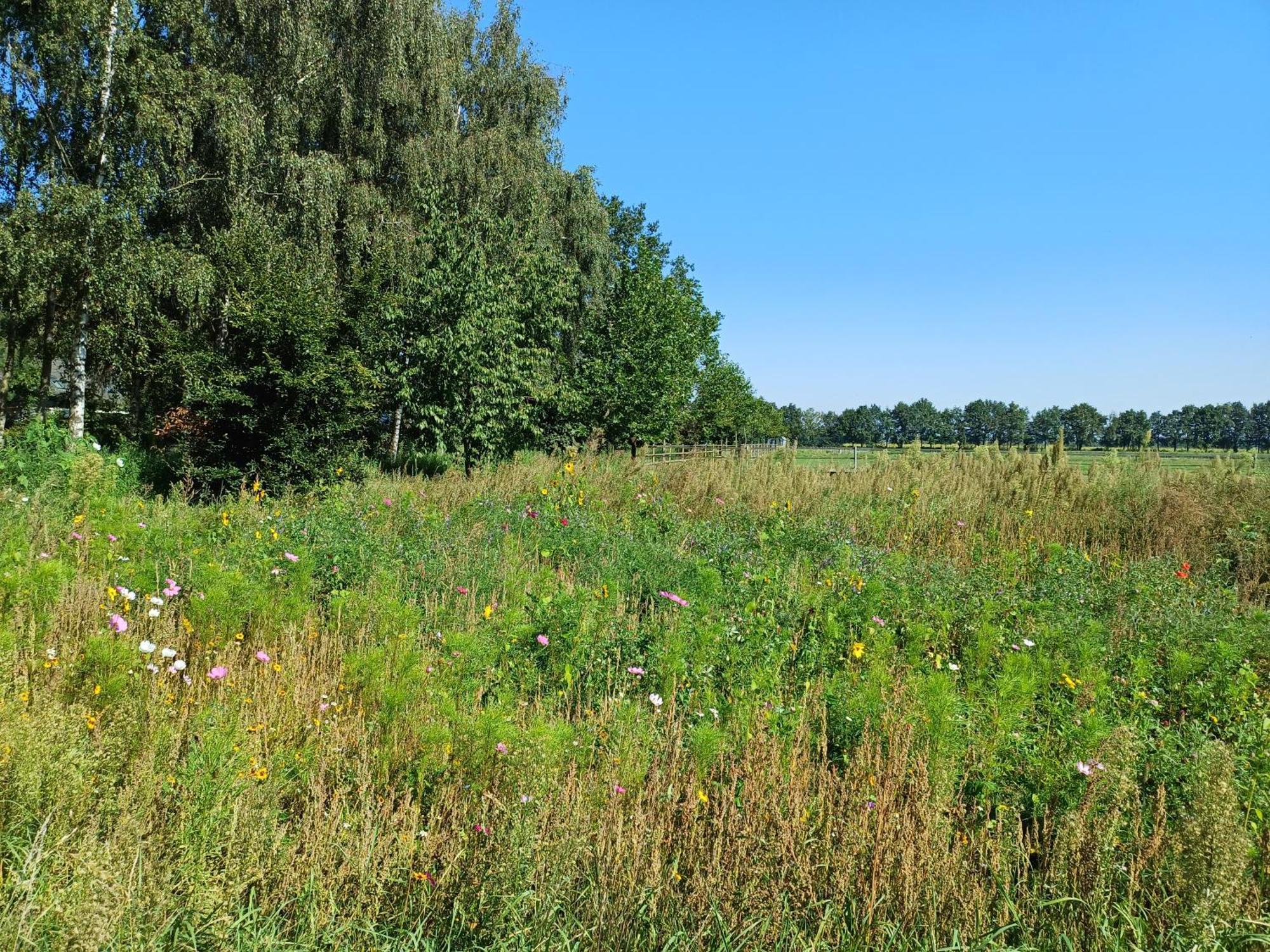 B&B Het Mooie Uitzicht Reuver 外观 照片