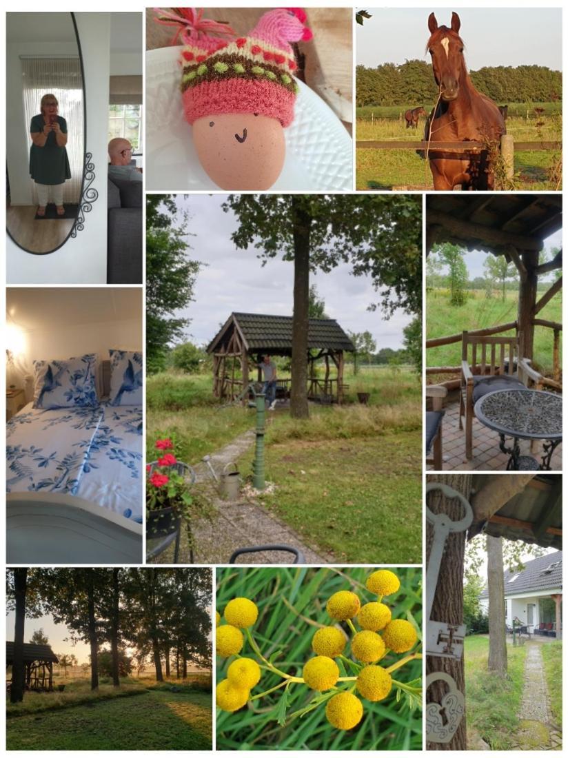 B&B Het Mooie Uitzicht Reuver 外观 照片