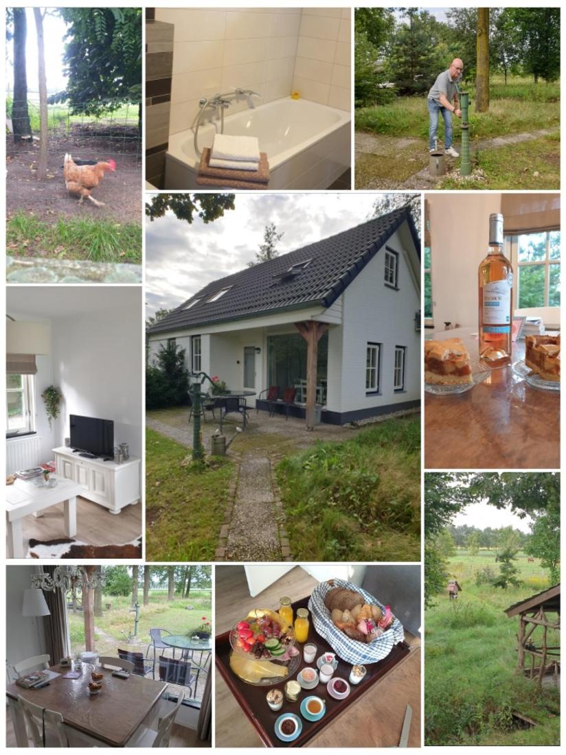 B&B Het Mooie Uitzicht Reuver 外观 照片